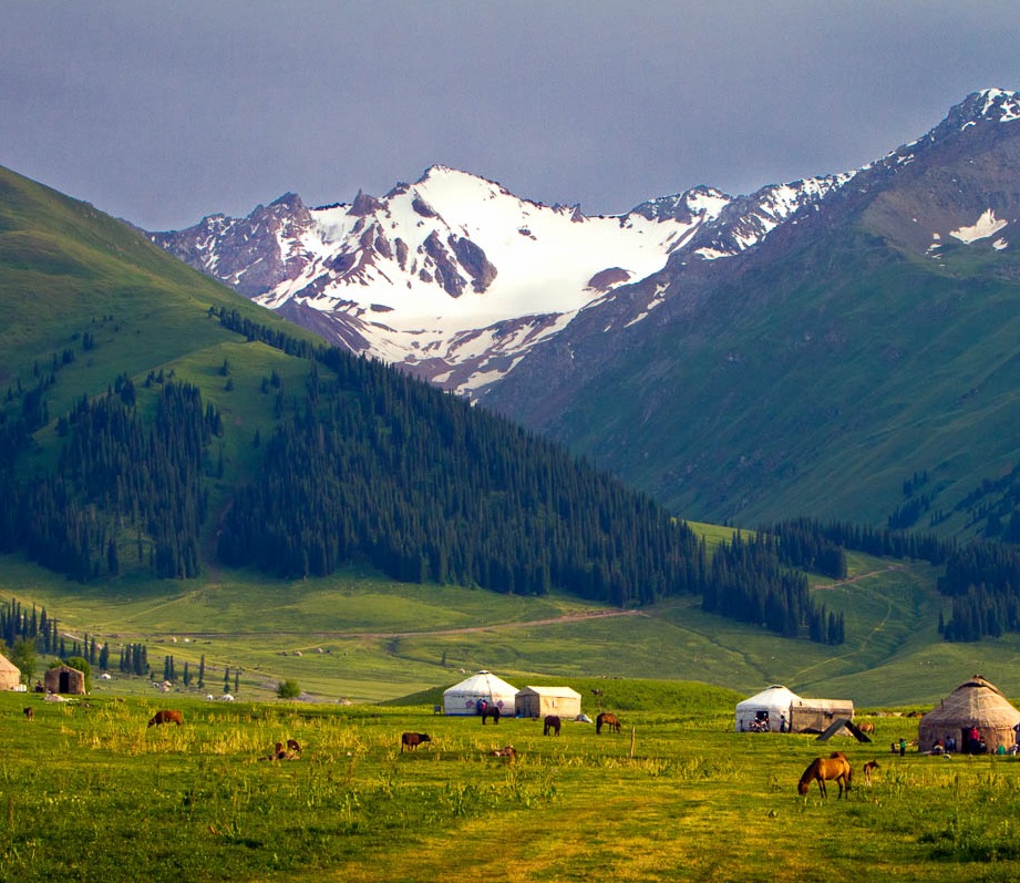 生態(tài)系統(tǒng)健康和管理——生態(tài)系統(tǒng)健康的管理原則、評估要點和指標(biāo)